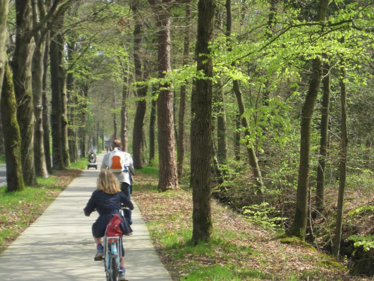 Вилла Vakantielandhuis Langweer Friesland Экстерьер фото